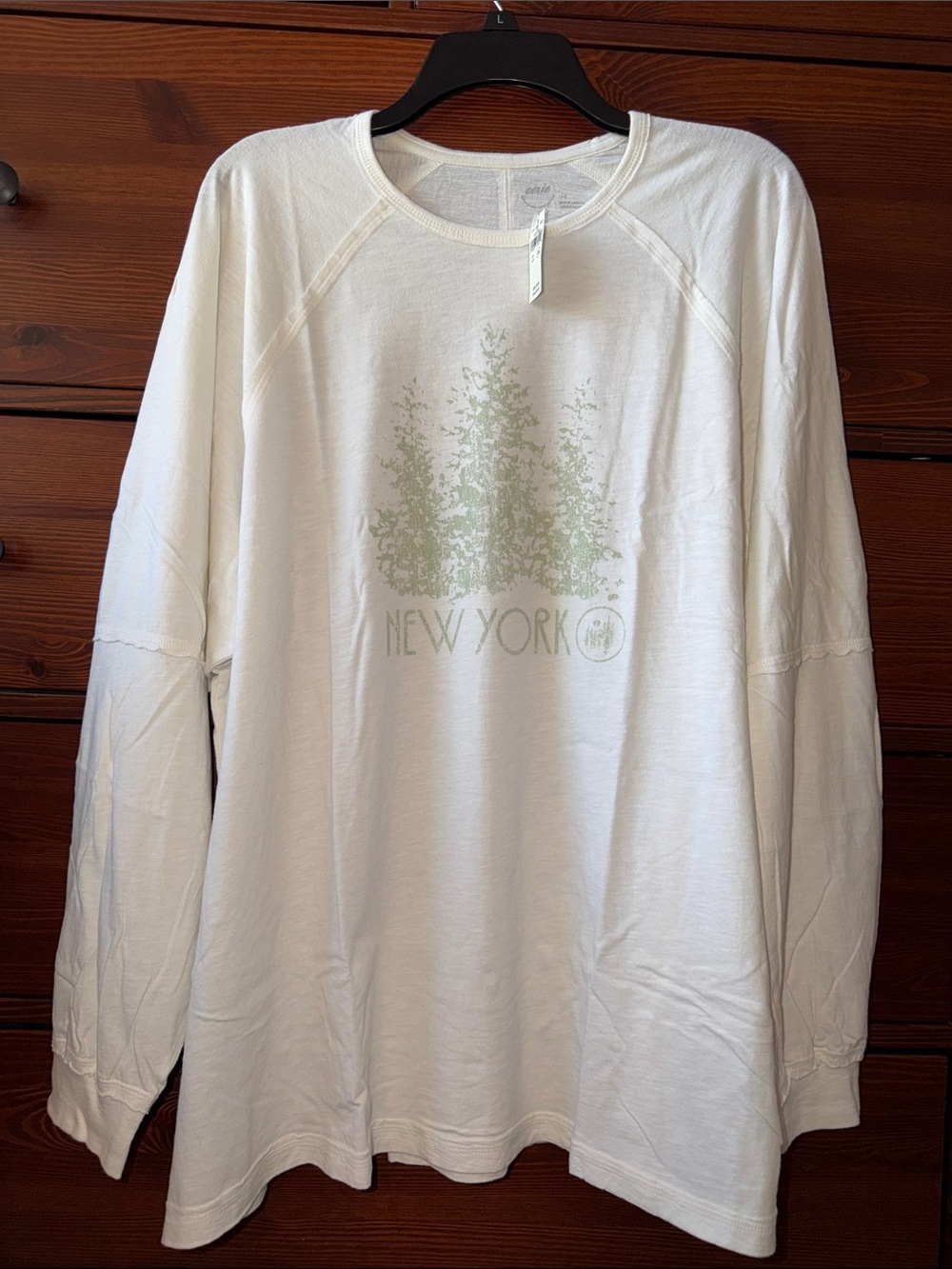 aerie Long-Sleeve Oversized Boyfriend Tee New York Nature Graphic 100% Cotton